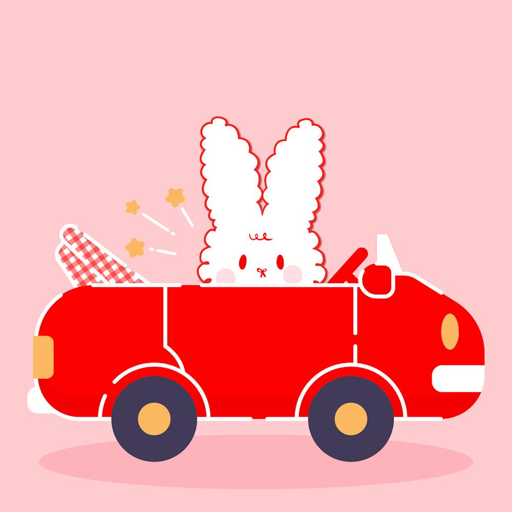 Cute Bunny In Car
