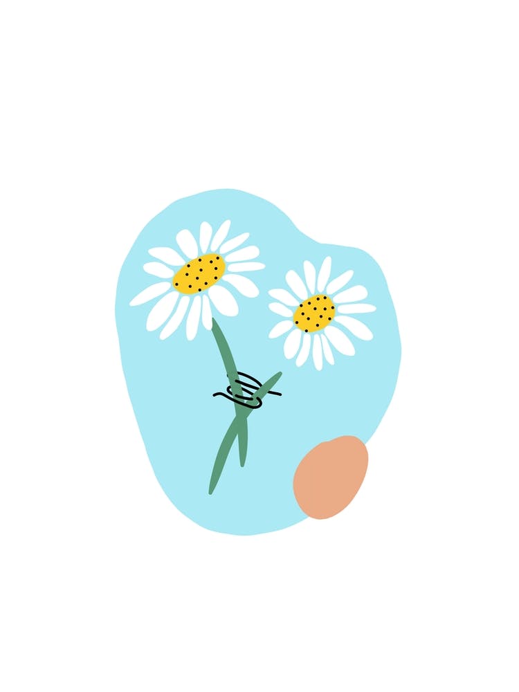 Gänseblümchen
