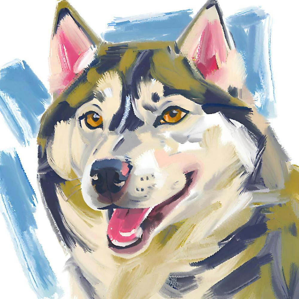 Siberian Husky 04