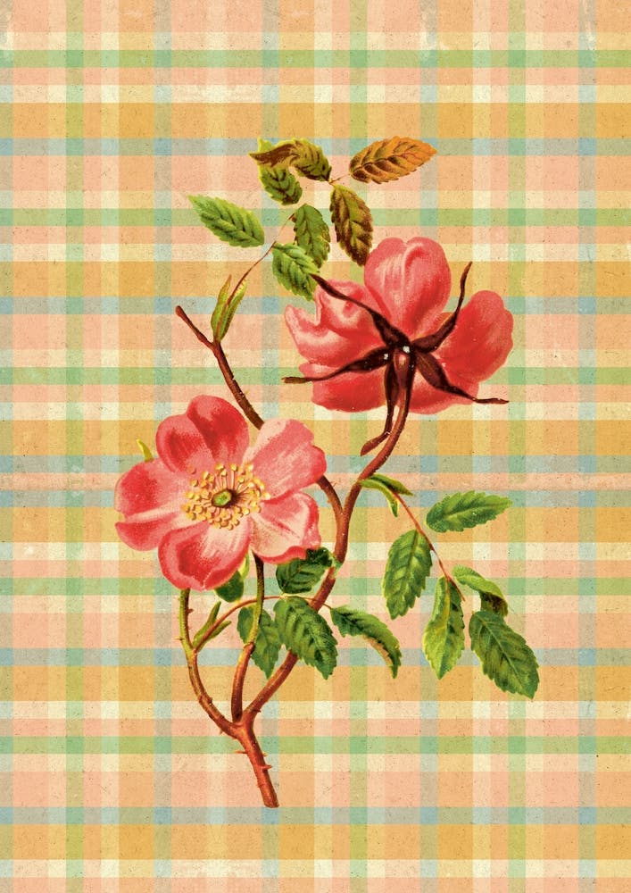 Floral Garden 11