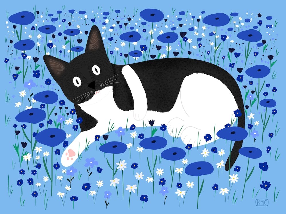 Cat In The Blue Meadow