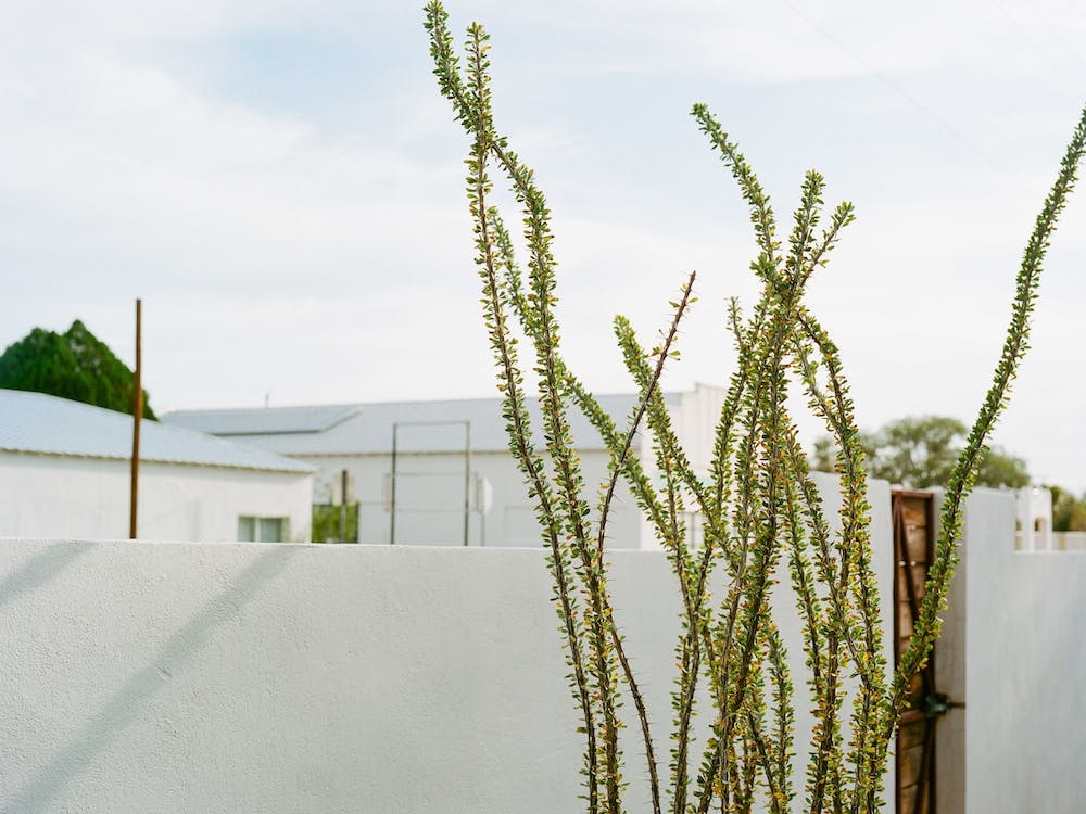 Marfa Texas III on Film