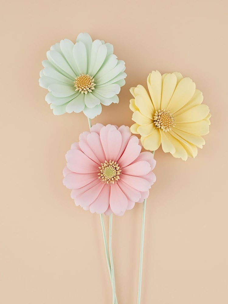 Delicate Botanical Illustrations with a Dreamy Aesthetic