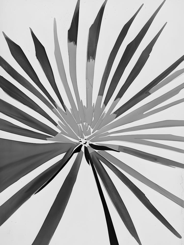'Palm Leaf' 1