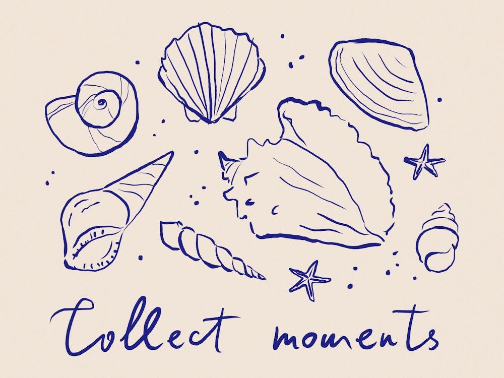 Collect Moments. Whimsical Coastal Seashells Line Art and Quote