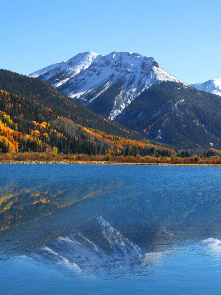 Reflection In A Lake