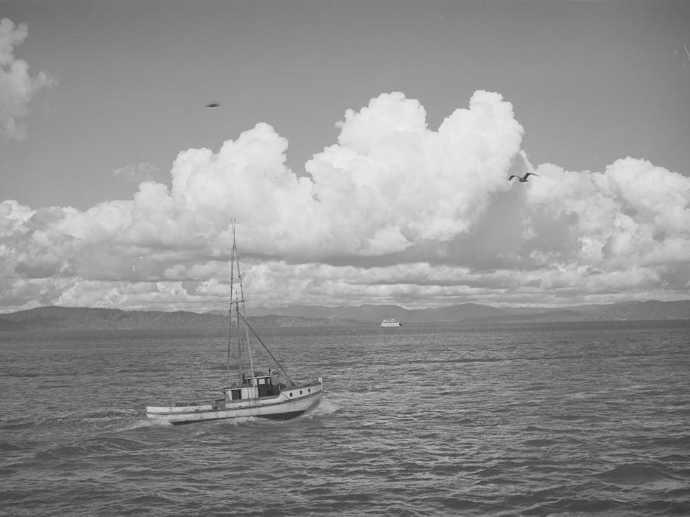 Fishing Boat Coming Into The Columbia River Packing Association Docks, Astoria, Oregon