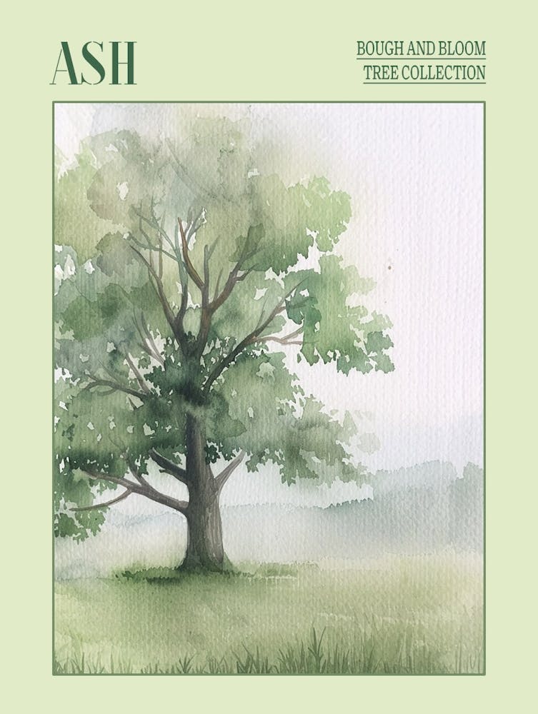 Ash Tree Atmospheric Watercolour Painting 3 Poster