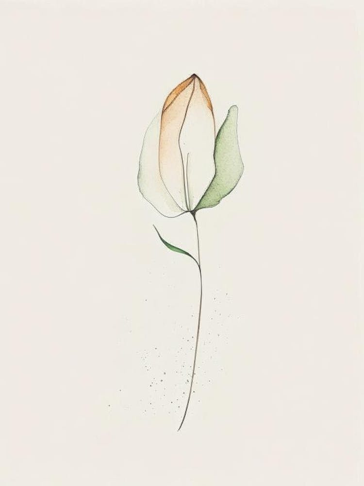 Tulip Leaf Minimalist Watercolour 1