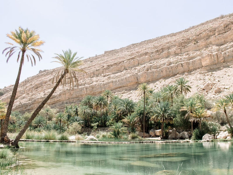 Paysage d'oasis désertique