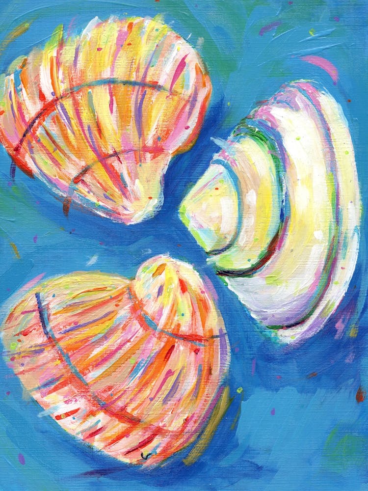 Shells 2