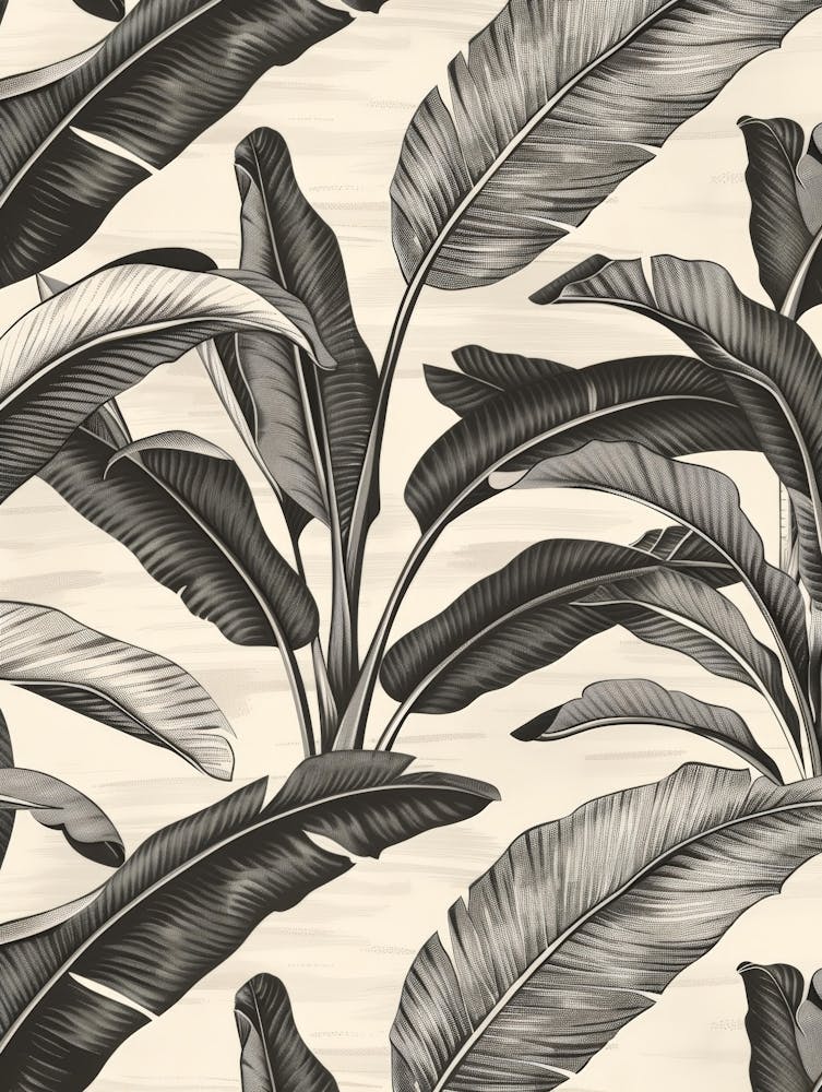 Black And White Banana Leaves