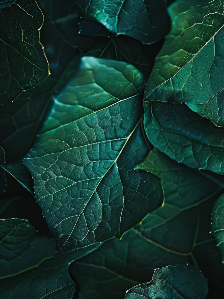 Green Leaves Wallpaper