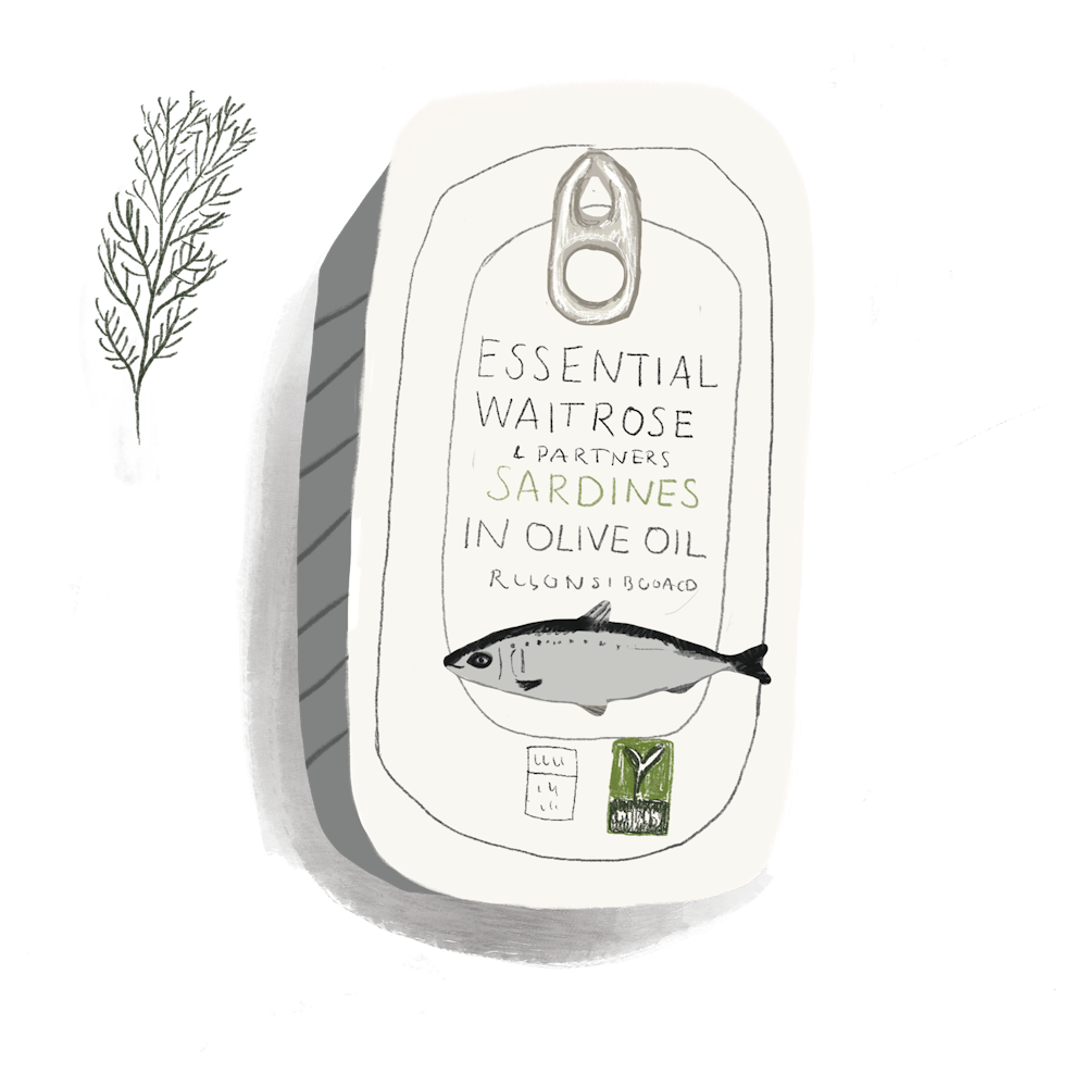 tin of sardines kitchen