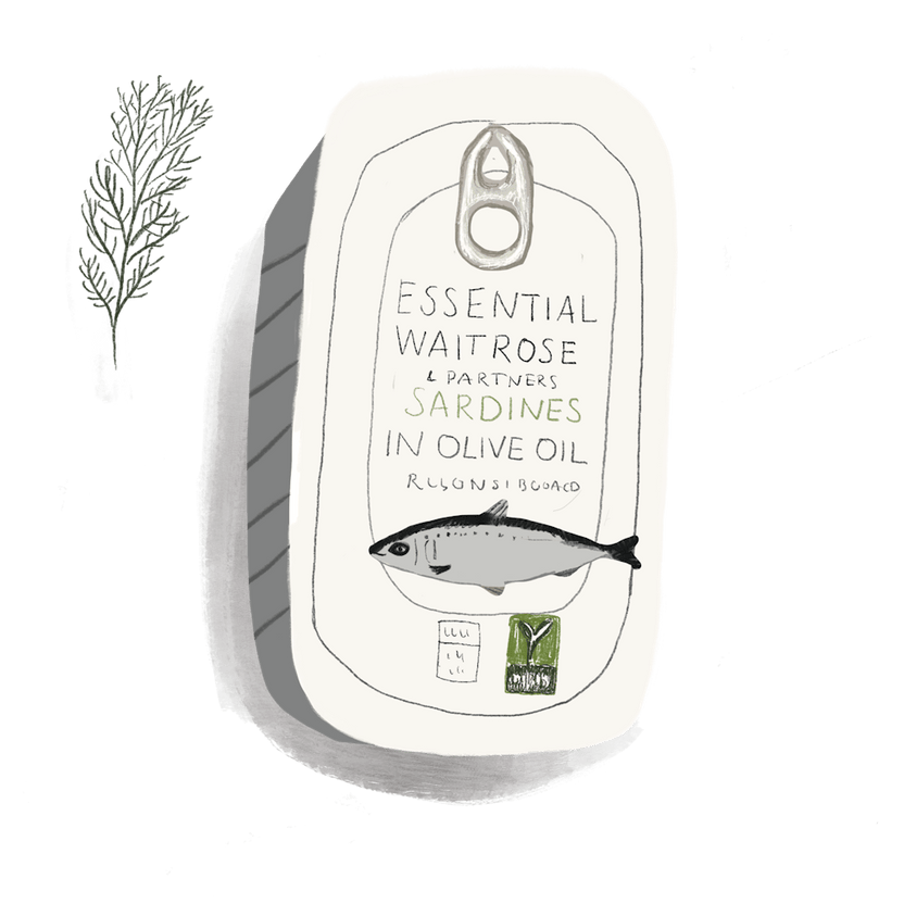 tin of sardines kitchen 