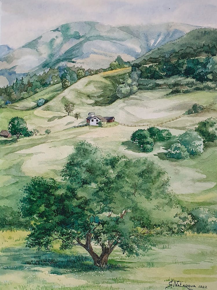 A Green Tree On A Mountain Slope