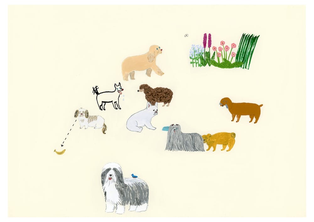 Dogs And Flower
