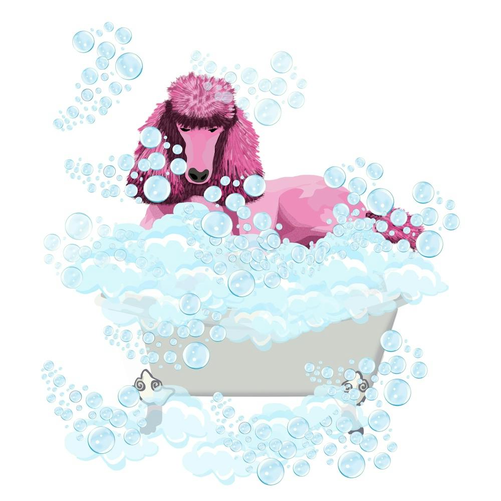 Pink Poodlle in the tub