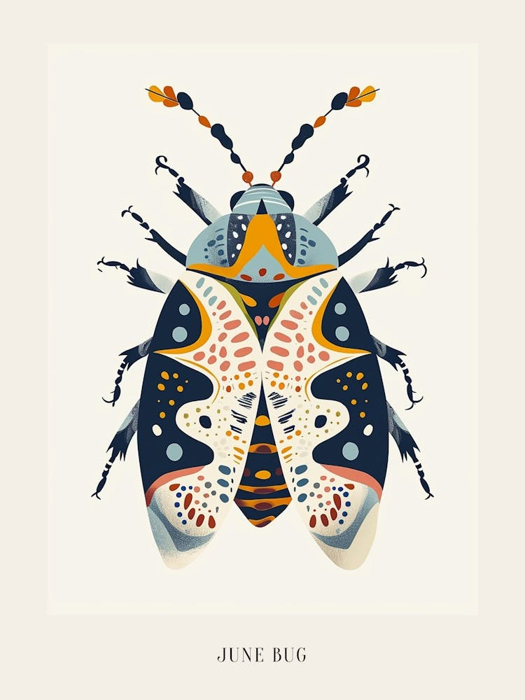 Colourful Insect Illustration June Bug 12 Poster