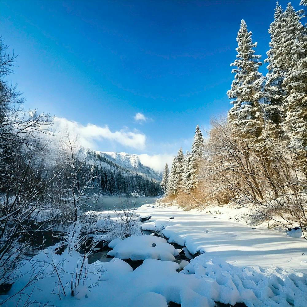 Firefly Winter Wonderland Cool, Icy Tones For Snowy Landscapes 1