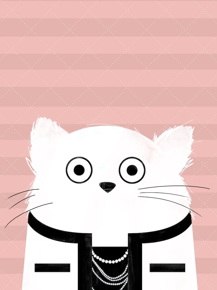 Cat Coco