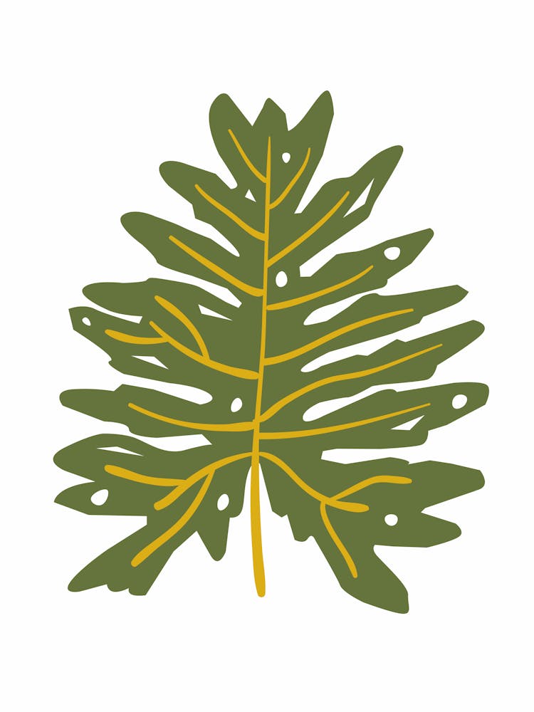 Fern Leaf