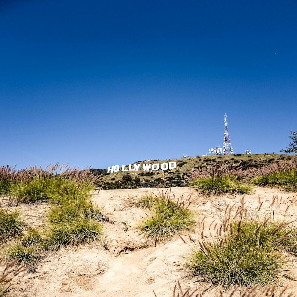 Hollywood II