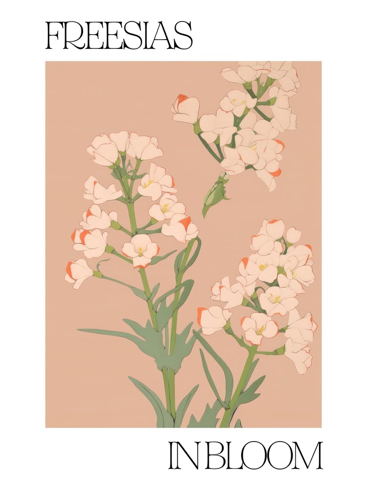 Freesias In Bloom Flowers Bold Illustration 4