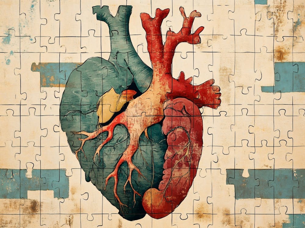 Human Heart Puzzle 1