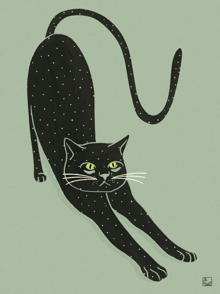 Black Cat On Green Background