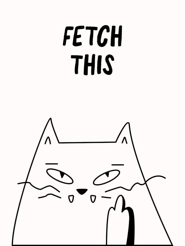 Fetch This Cat Poster