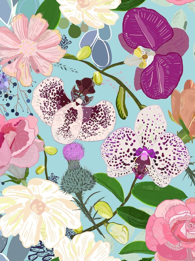 Orchid Succulent Roses