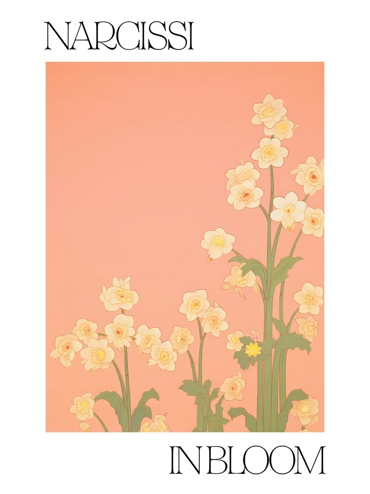 Narcissi In Bloom Flowers Bold Illustration 3