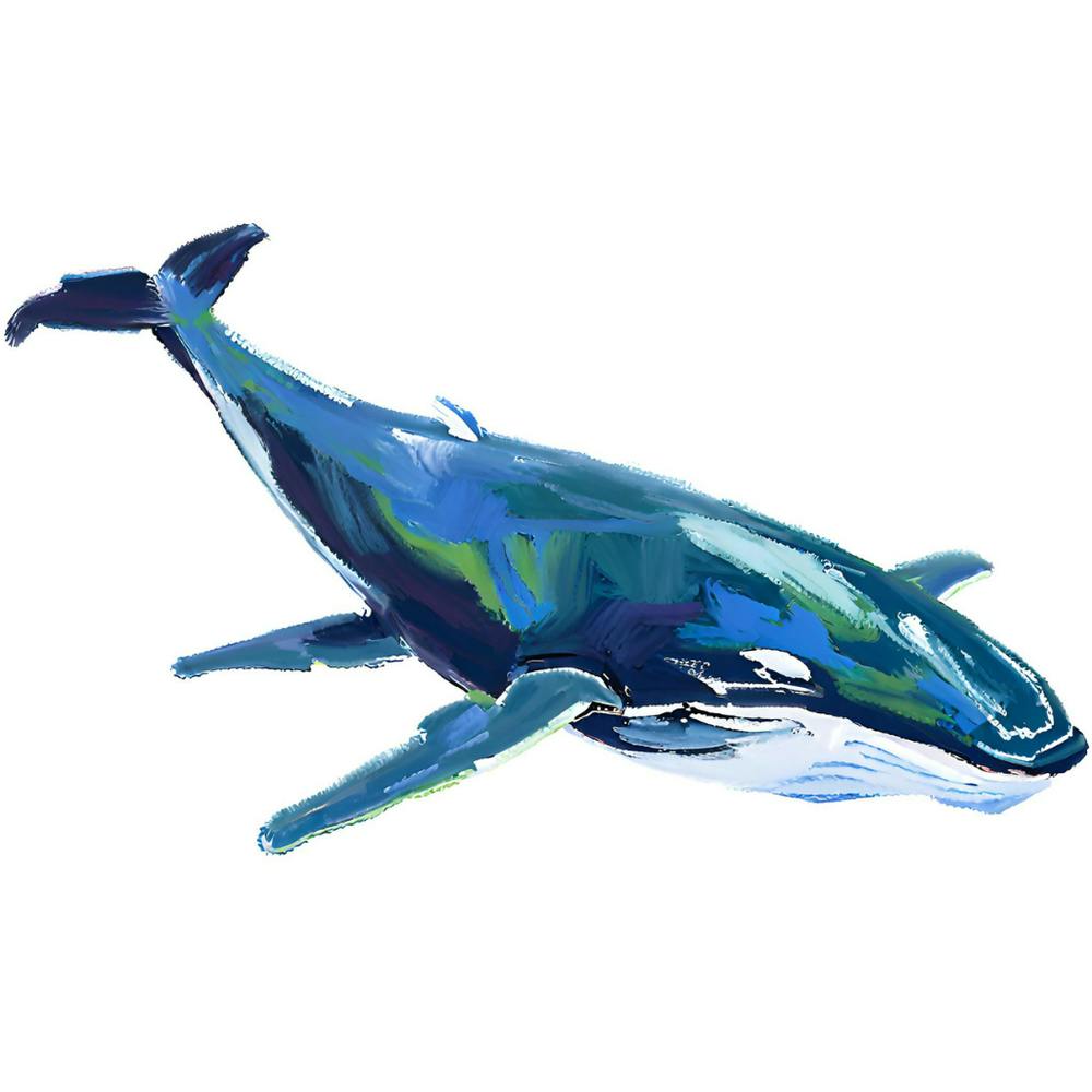 Humpback Whale 01
