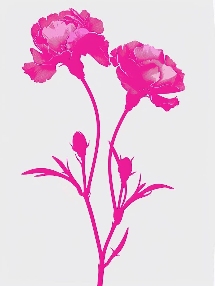Hot Pink Carnations 3