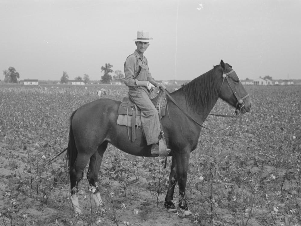 Member Of Cooperative Association, Overseer Of Cotton Pickers, Lake Dick Project, Arkansas By Russell Lee