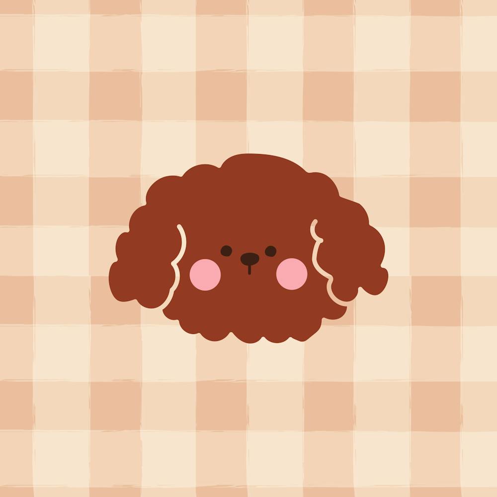 Kawaii Cockapoo