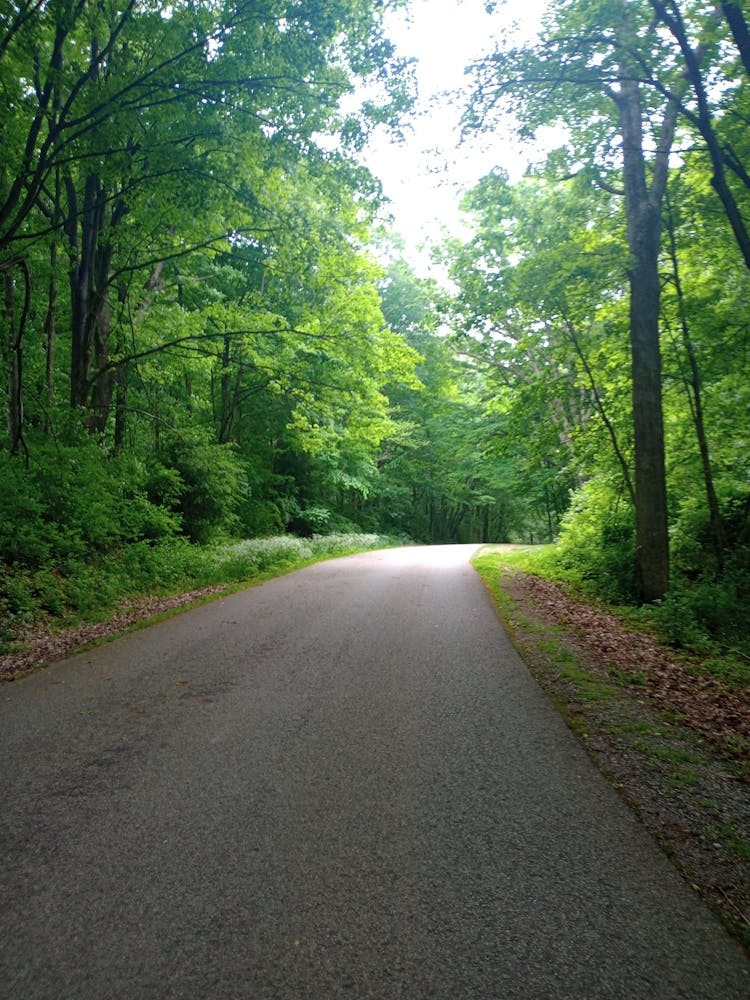 Taking The Road Less Traveled