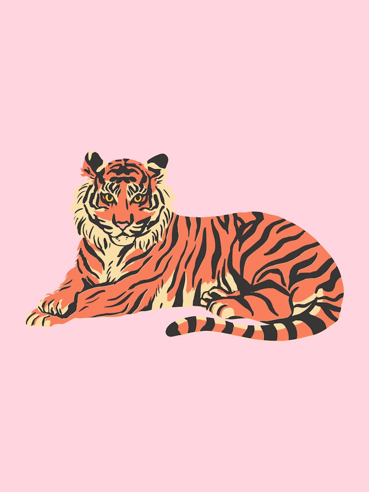 Tiger in Pink Background