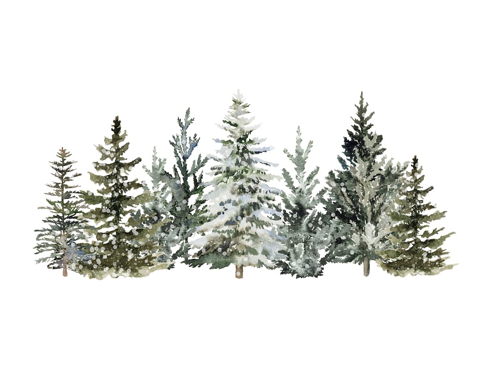 Winter Trees