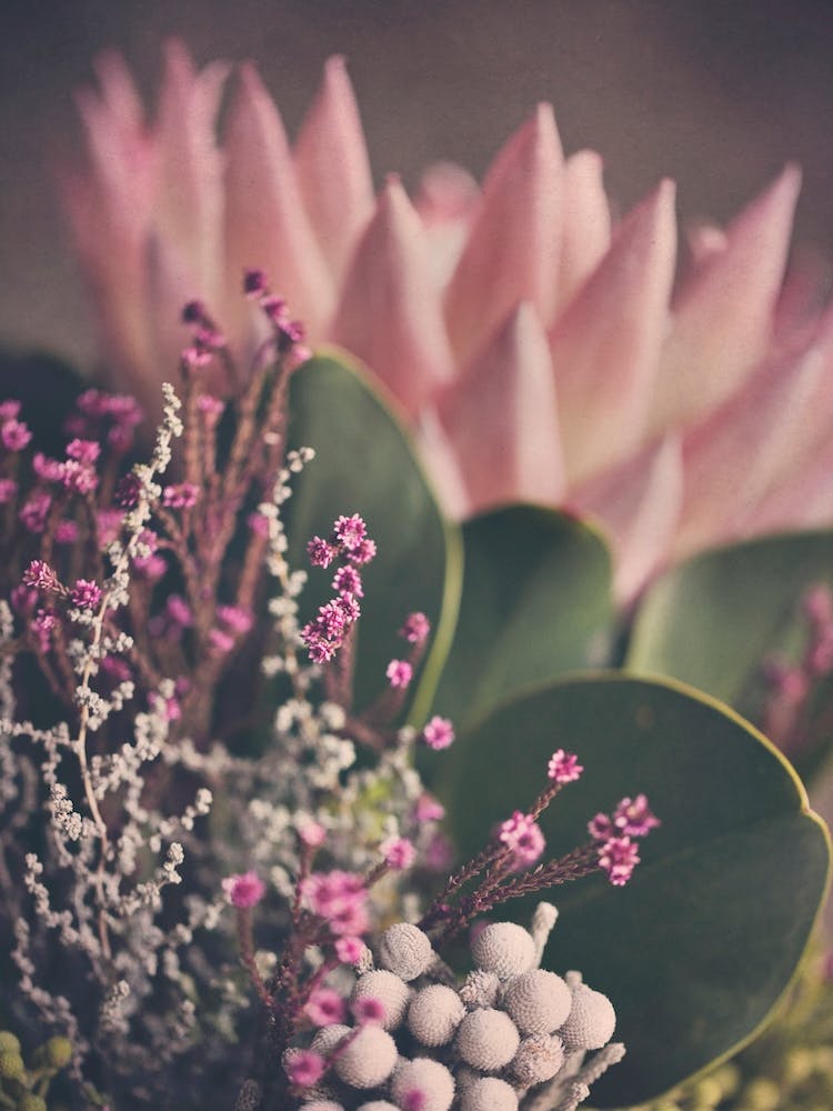 Warm Fynbos 2