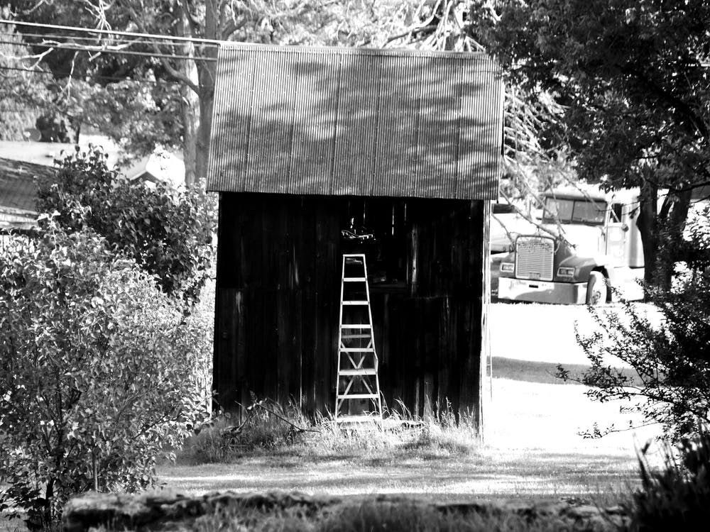 Shed Ladder BW