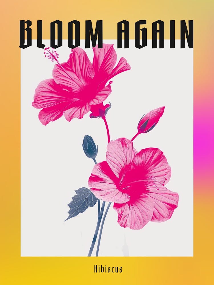 Hot Pink Hibiscus 1 Poster