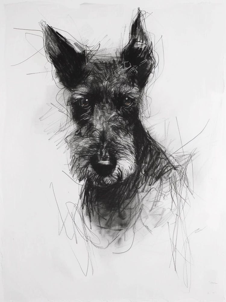  Lakeland Terrier Dog Charcoal Line 3