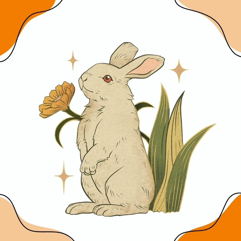 Rabbit With Flower