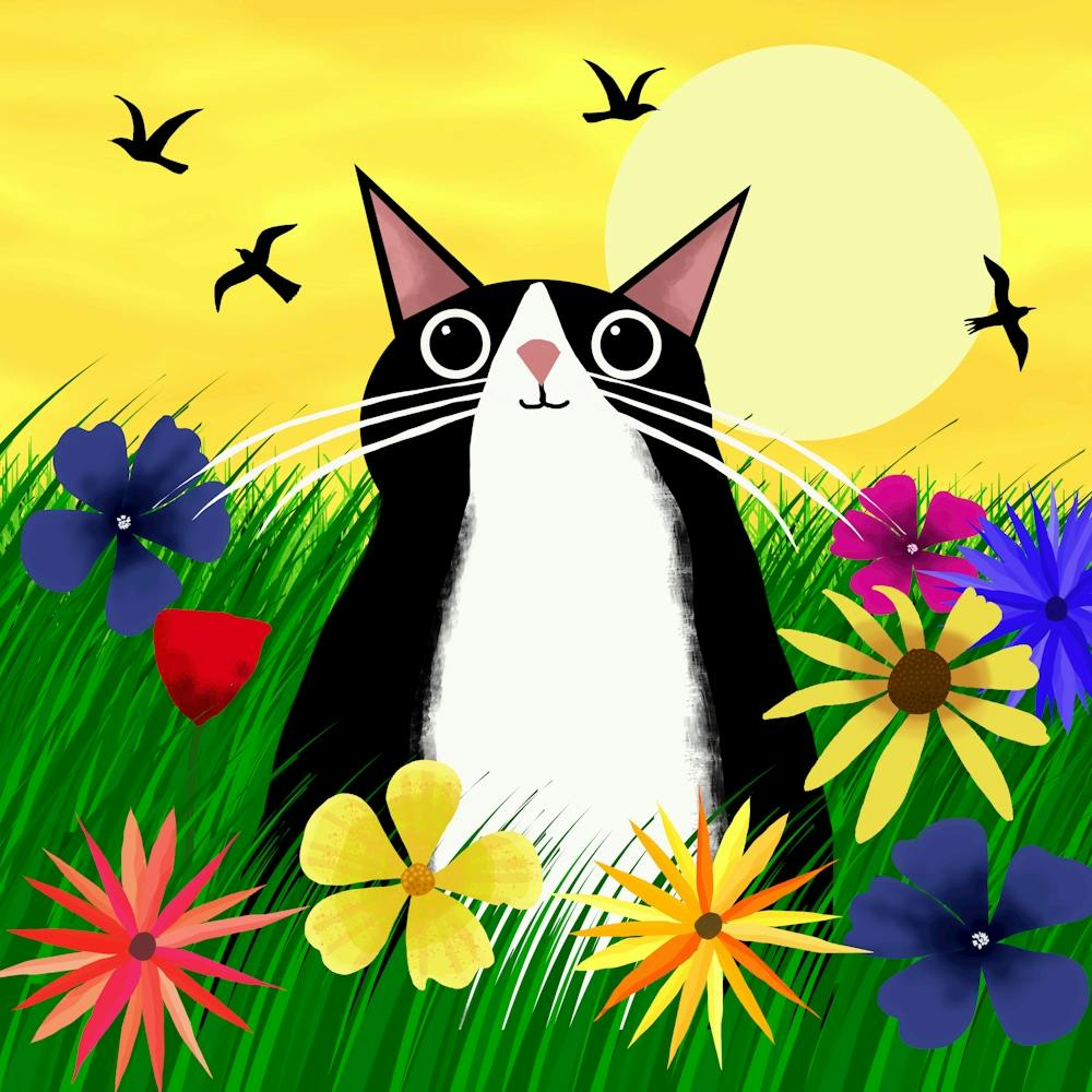 Tuxedo