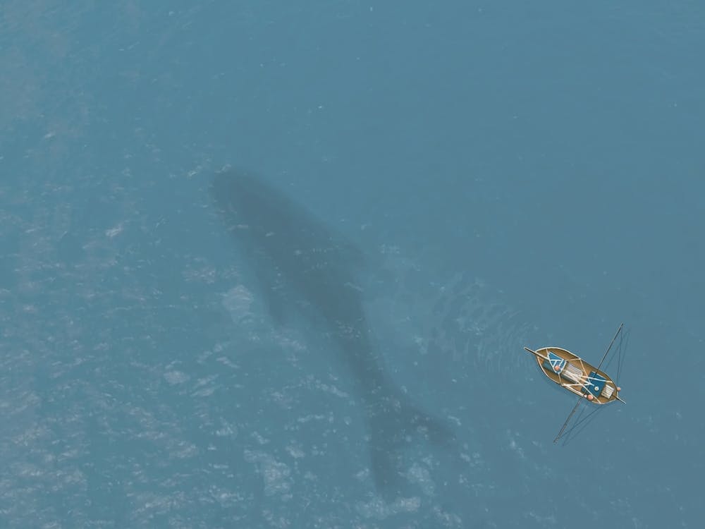 Lost At Sea