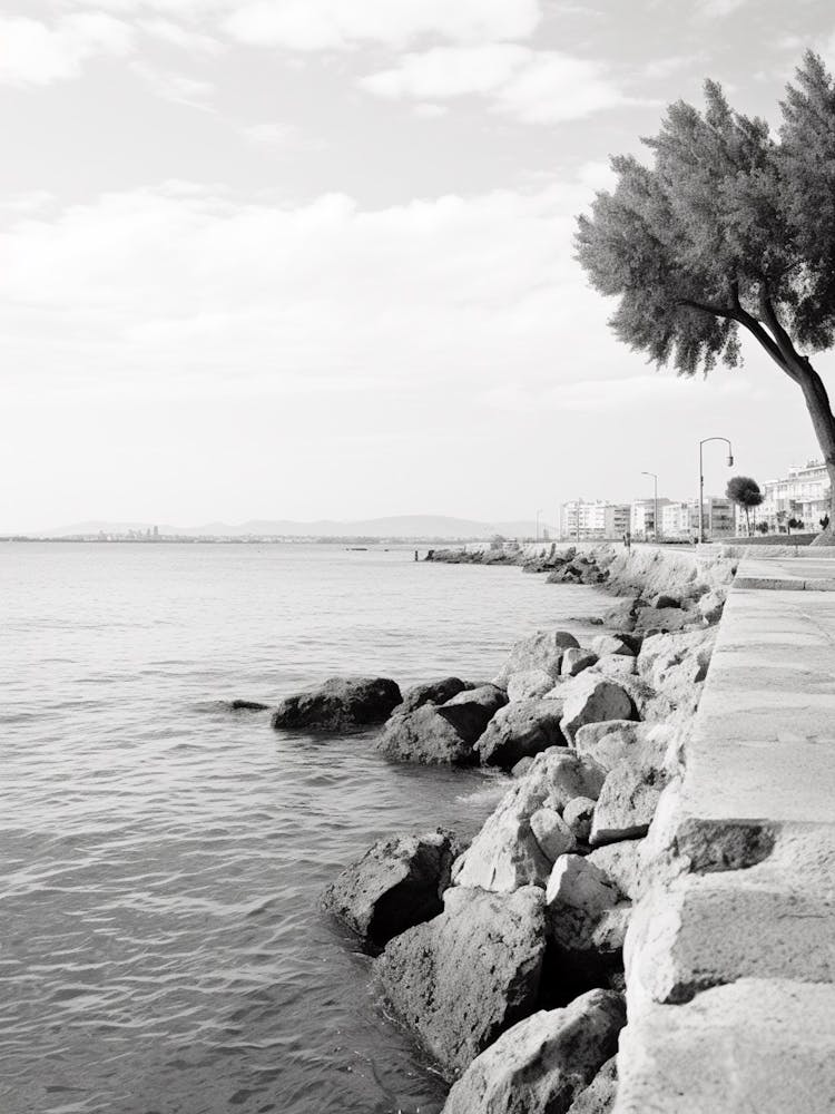 Antibes, France, Mediterranean Black And White Photography Analogue 2