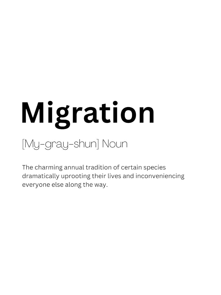 Migration Definition Meaning