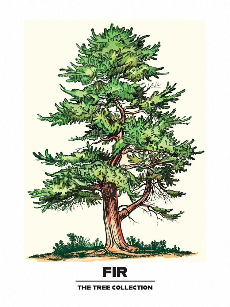 Fir Tree Storybook Illustration 2 Poster